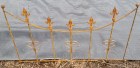 Hoop Sway Fence