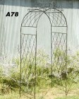 Narrow Arch with Dbl Top