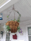 HANGING BALLOON BASKET