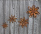 Set of 4 Rustic Flowers