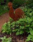 Rooster on Fence