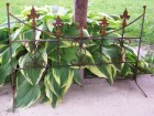 SM. HOOPSWAY FENCE W/LEGS